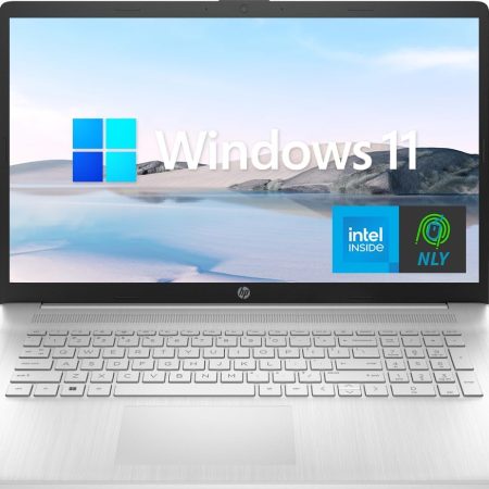 HP 17.3'' Laptop, Intel Quad Core i3-1125G4 Processor, 20GB RAM, 1TB SSD, Anti-Glare Display, Long Battery Life, Wi-Fi and Bluetooth, Webcam, HDMI, NLY MP, Windows 11, Silver